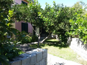 Casa Flavia
